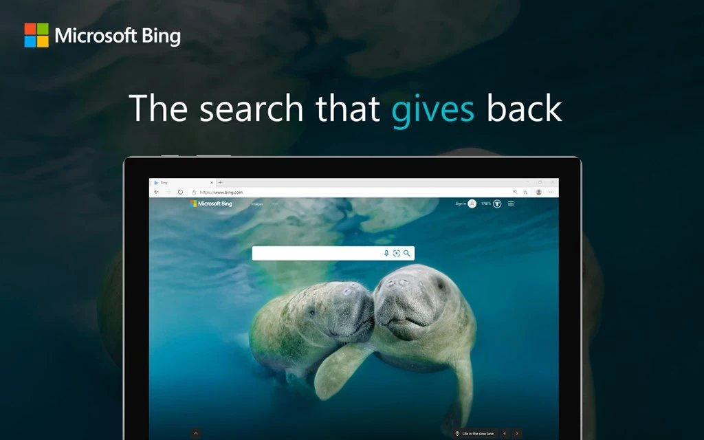 Microsoft Bing Search Engine Screenshot Image