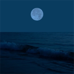 Moonlit Seascape v1.0.0